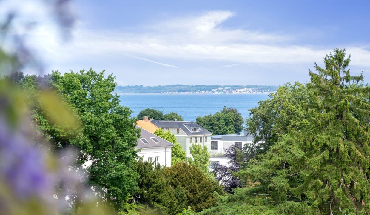 493522054_1260201162777542_2621773222638970092_n