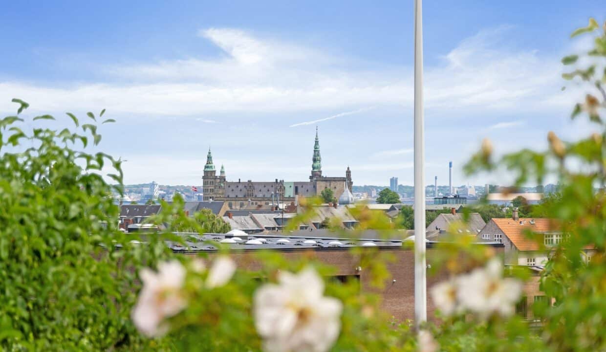 493946228_1260201526110839_3680300335392723676_n