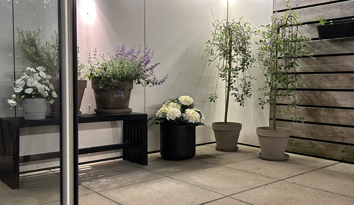 20250611_210402829_iOS