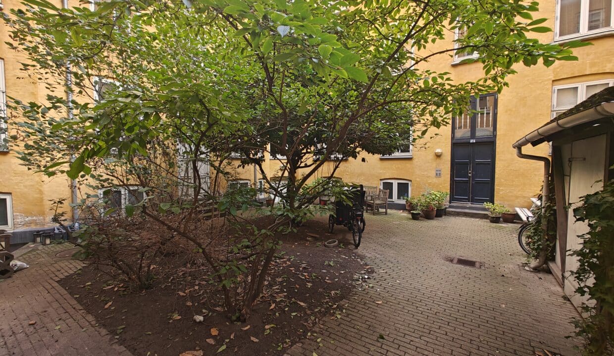 oplus_9437186