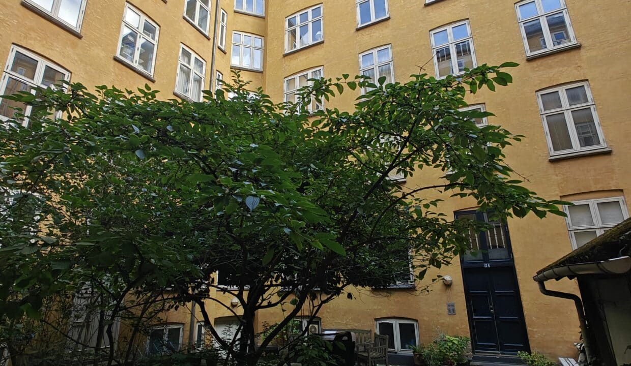 oplus_9437218